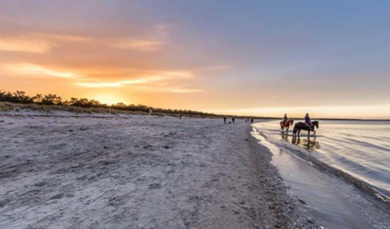 Ferienhaus Insel Ruegen Ostsee Reethaus Am Meer Βίλα Glowe Εξωτερικό φωτογραφία